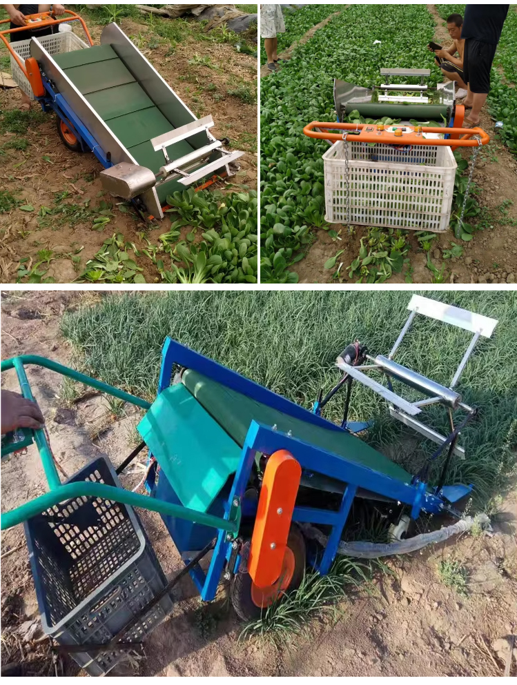 vegetable-harvester_08.jpg