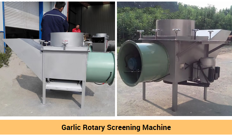 garlic-grading-machine_05.jpg