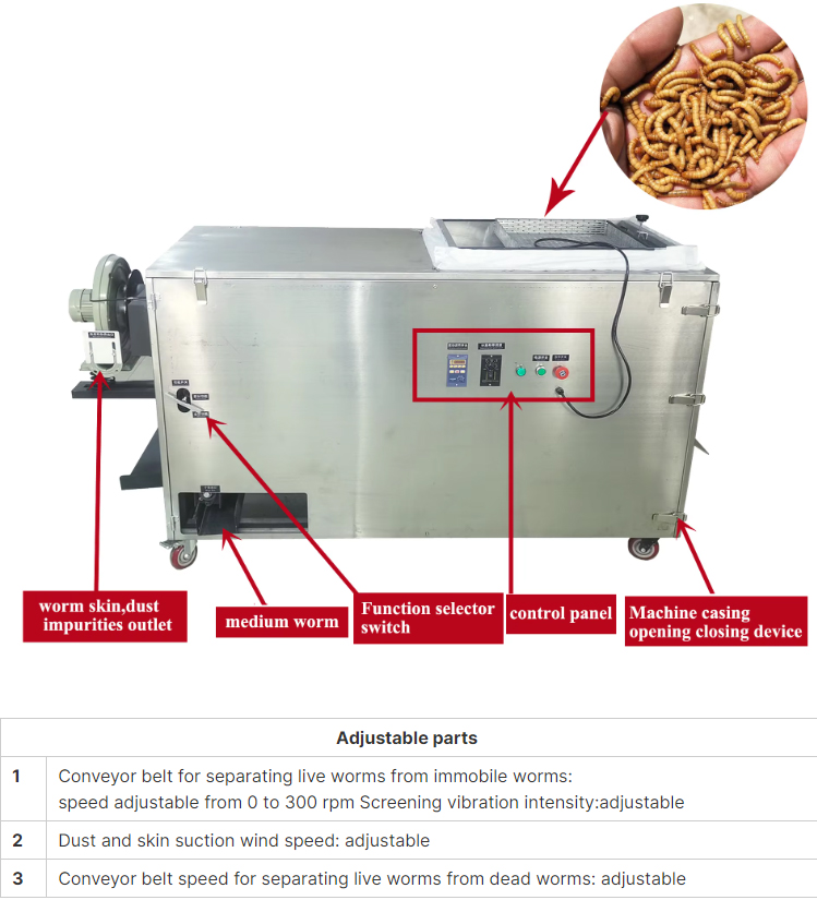 mealworm-grading_04.jpg