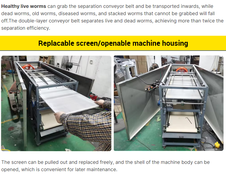 mealworm-grading_12.jpg