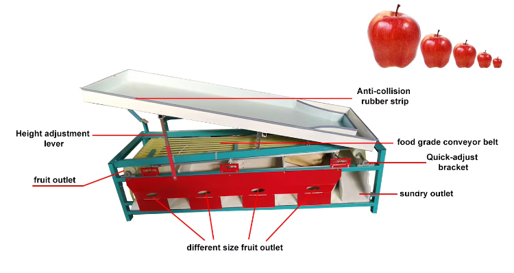 fruit-sorting-grading-machine_03.jpg