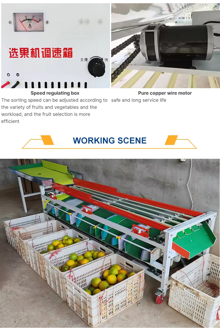 fruit-sorting-grading-machine_10.jpg