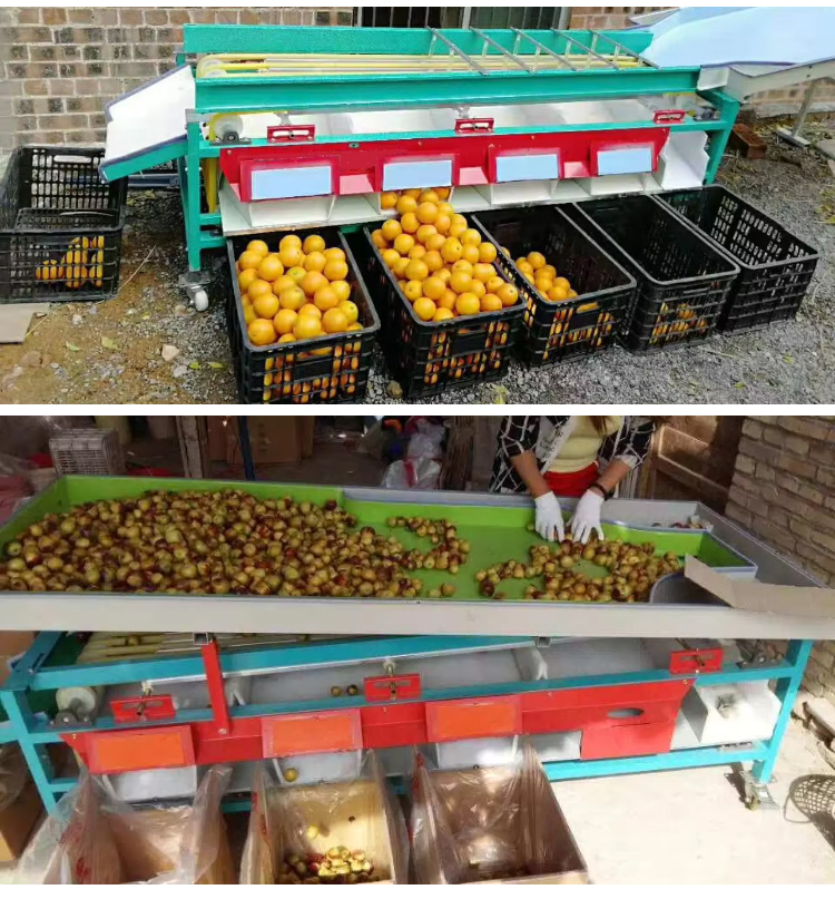 fruit-sorting-grading-machine_11.jpg