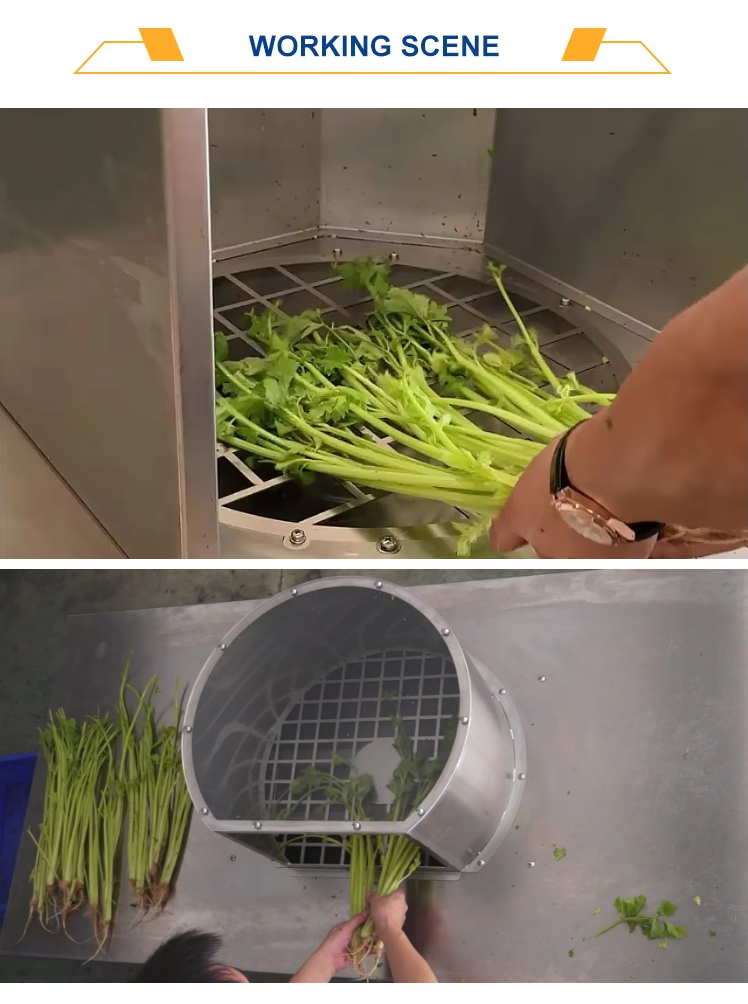 celery-leaf-remover_07.jpg