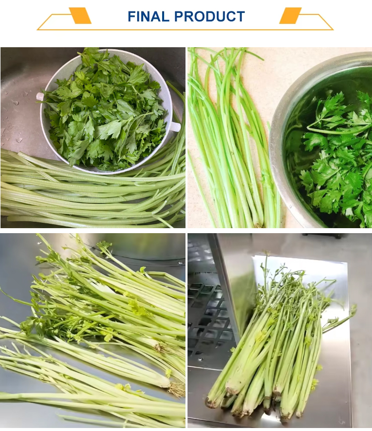 celery-leaf-remover_08.jpg