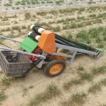 leaf vegetable harvester