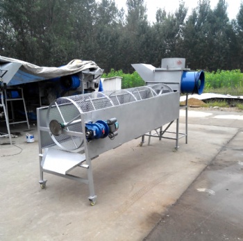 Garlic grading machine