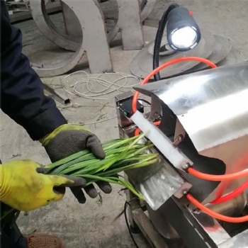 Green Onion peeling root cutting machine