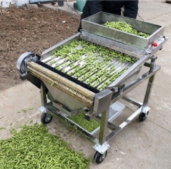 Edamame hulling shelling machine