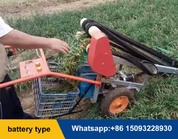 leaf vegetable harvester