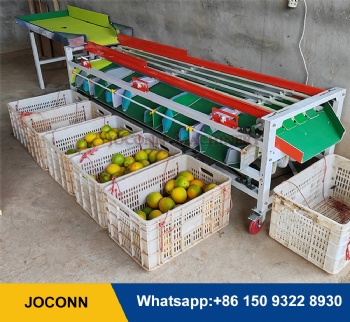 Track type Fruit grading machine