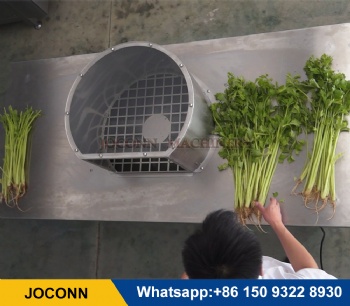 Celery leaf removing machine