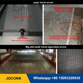 Mealworm grading screening machine