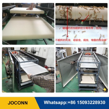 Mealworm grading screening machine